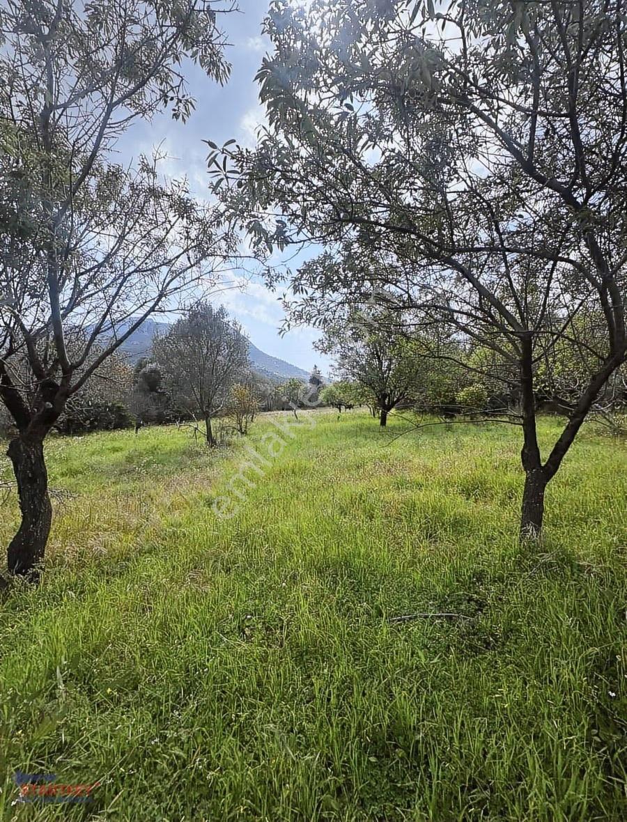 Startkey Pelit Hızırşah'ta Anayol Cepheli 2965 M2 Tarla - Görsel 9