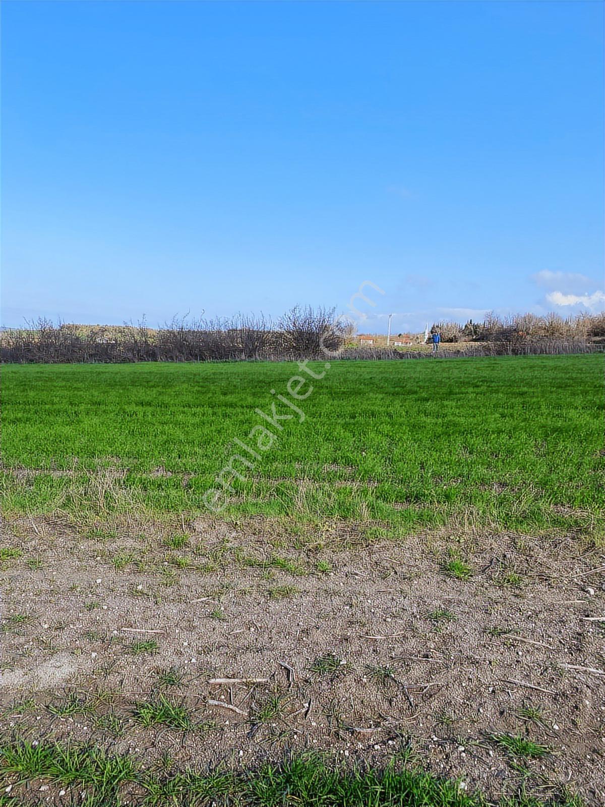 Boğazköyde İmar Sınırında 17.700m2 Tarla - Görsel 12