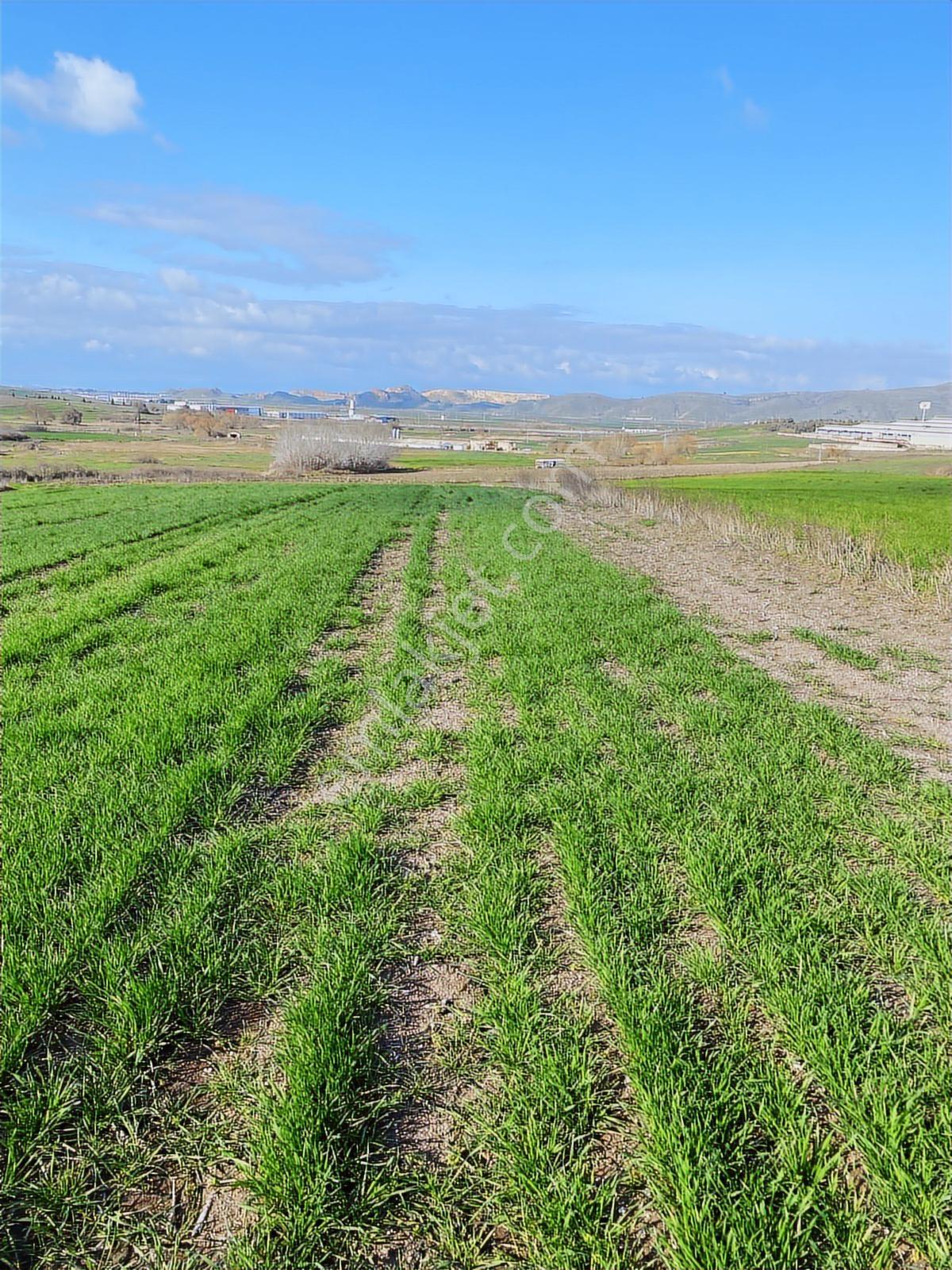 Boğazköyde İmar Sınırında 17.700m2 Tarla - Görsel 8