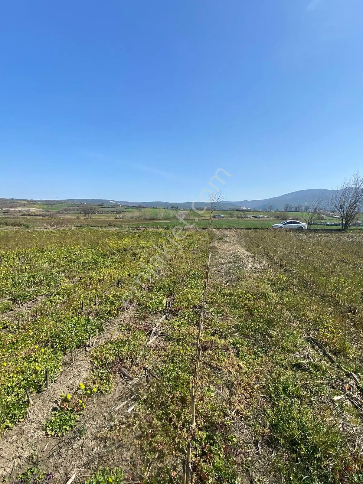Kafkas Emlaktan Demireli De 5.600 M2 Tarla - Görsel 4
