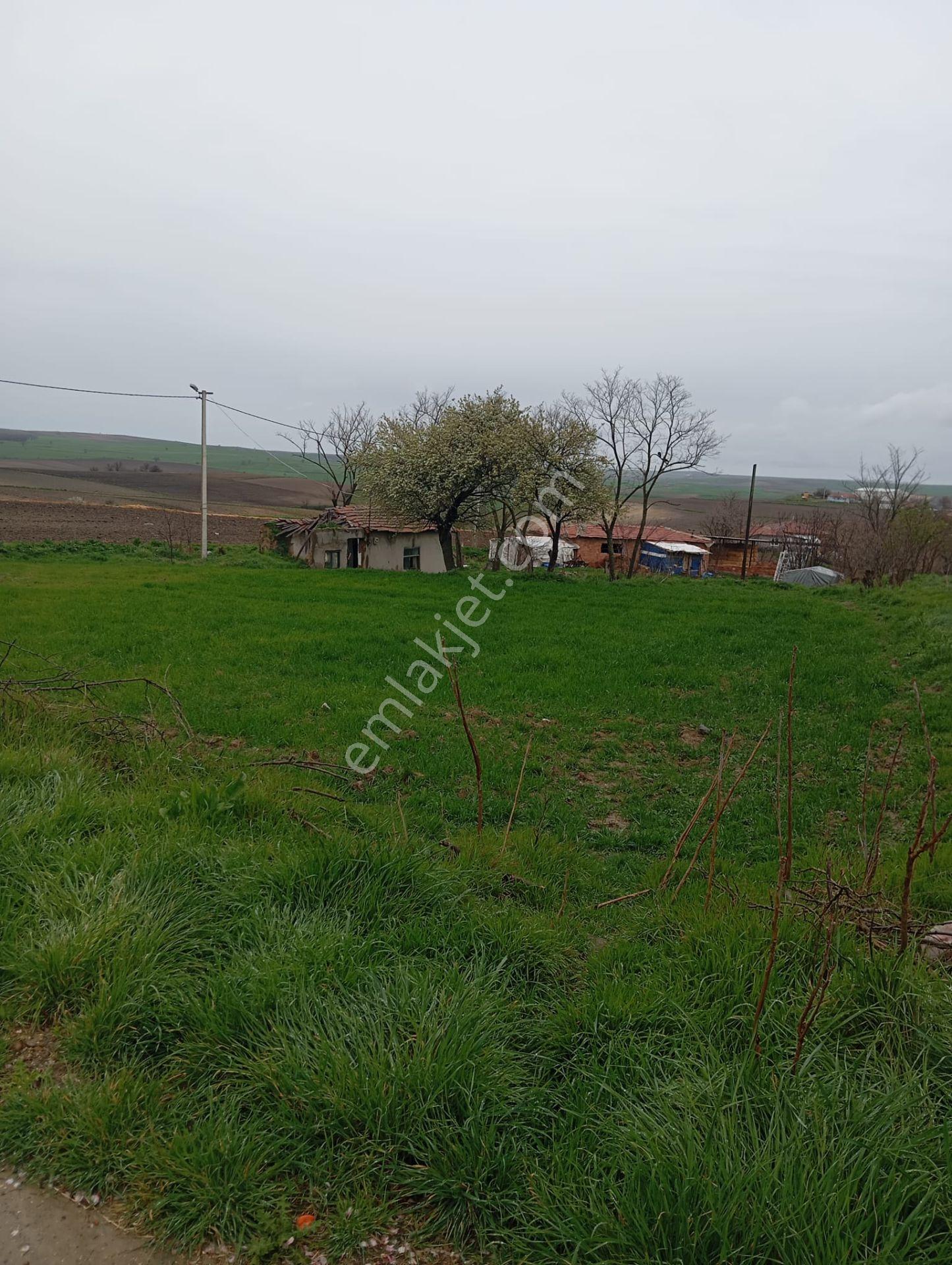 Edirne İpsala İlçesi Korucu Köy'de 725 M2 Konut İmarlı Satılık Arsa - Görsel 2