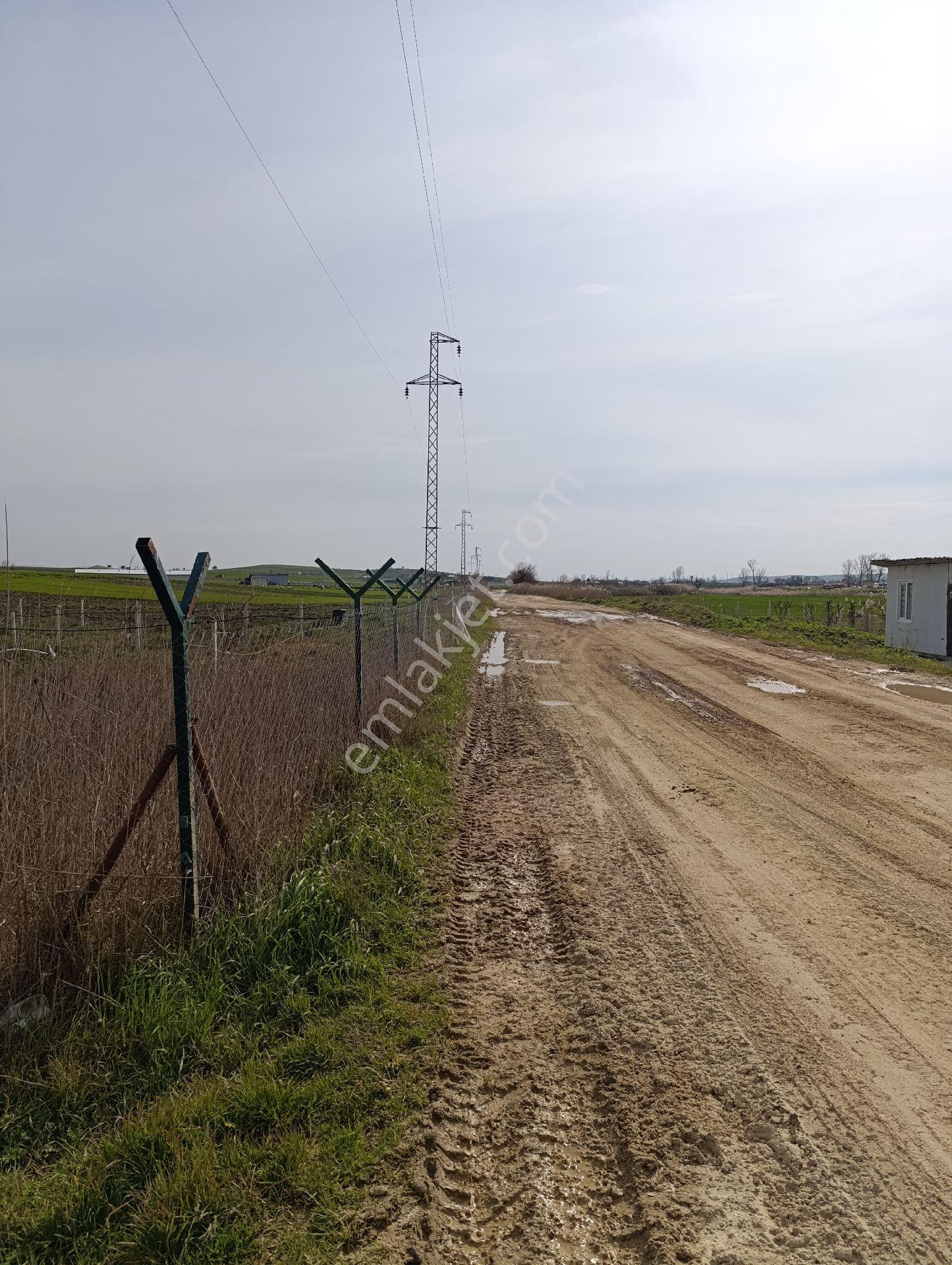 Silivri Değirmenköy Satılık Arsamız Tekirdağ Çorlu Ana Yoluna Yakın - Görsel 6