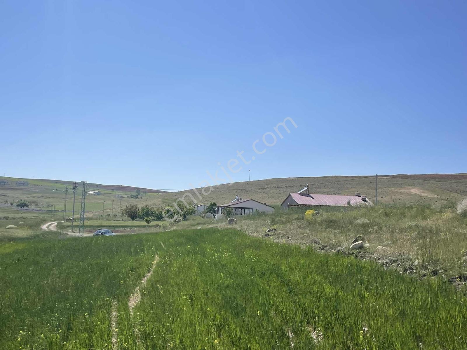 Köy İçi Arsa Sayılır Yol, Su Yanı Başında - Görsel 9