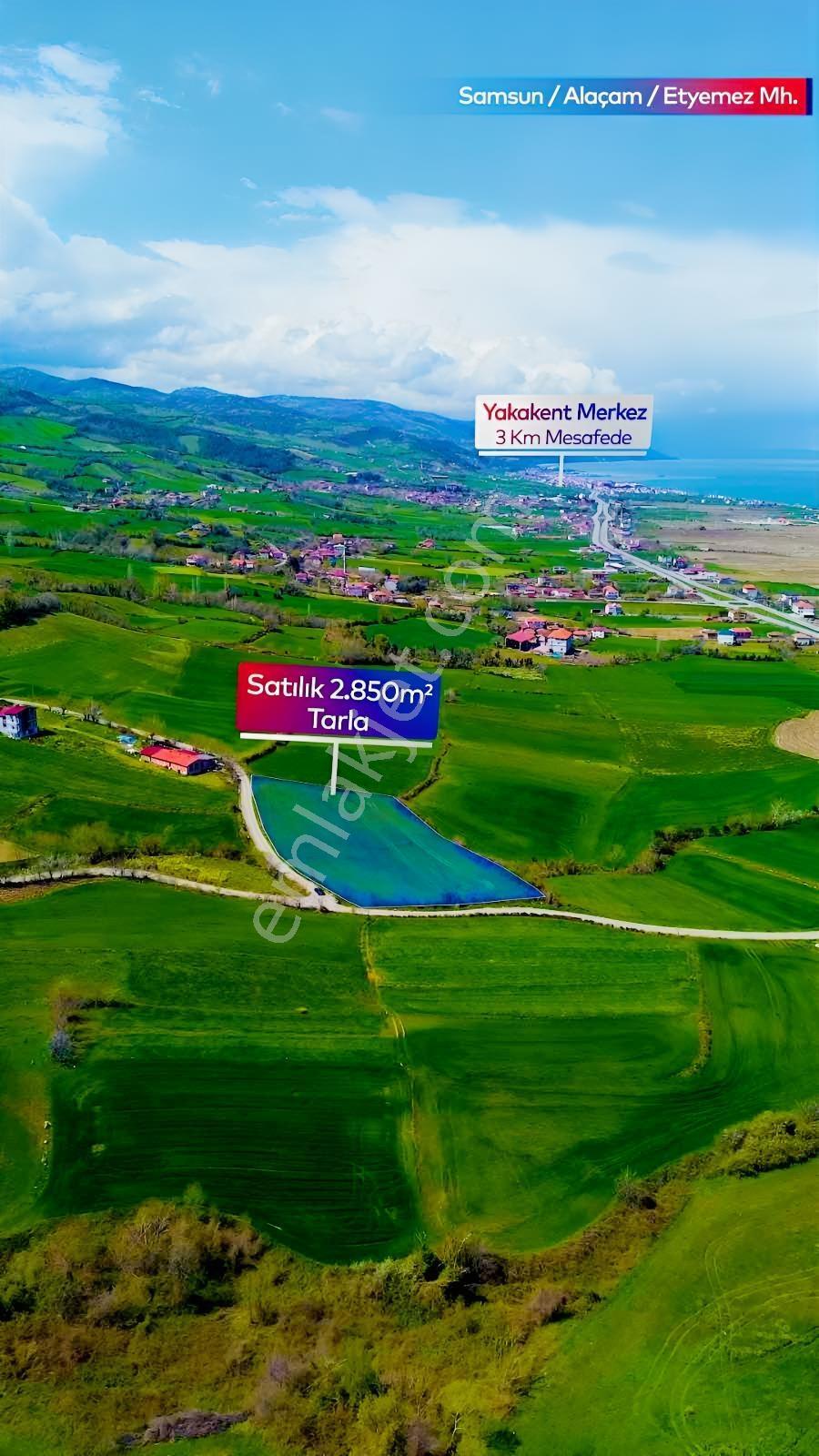 2 Yola Cepheli / Deniz Manzaralı / Yatırımlık Fırsat Tarla - Görsel 4