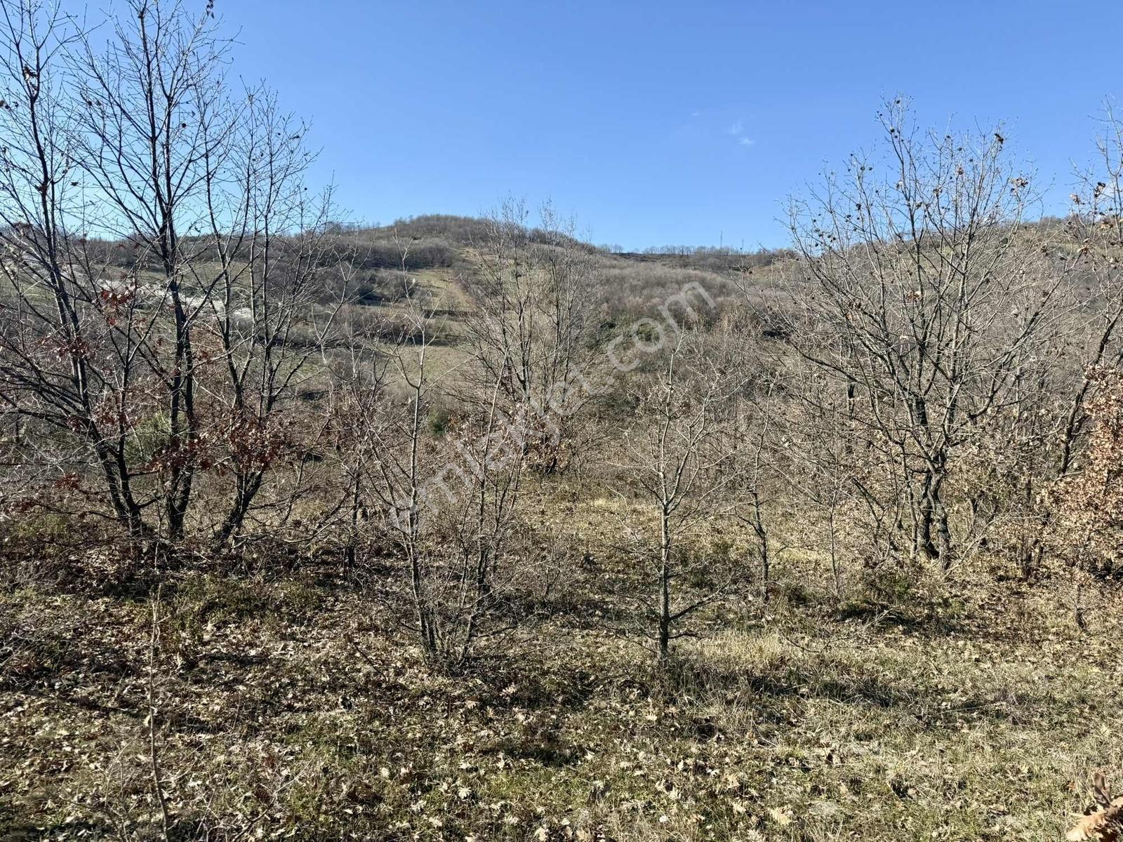 İznik Sarıağıl'da Resmi Yola Cepheli, Eğimsiz 3 Dönüm Tarla - Görsel 19