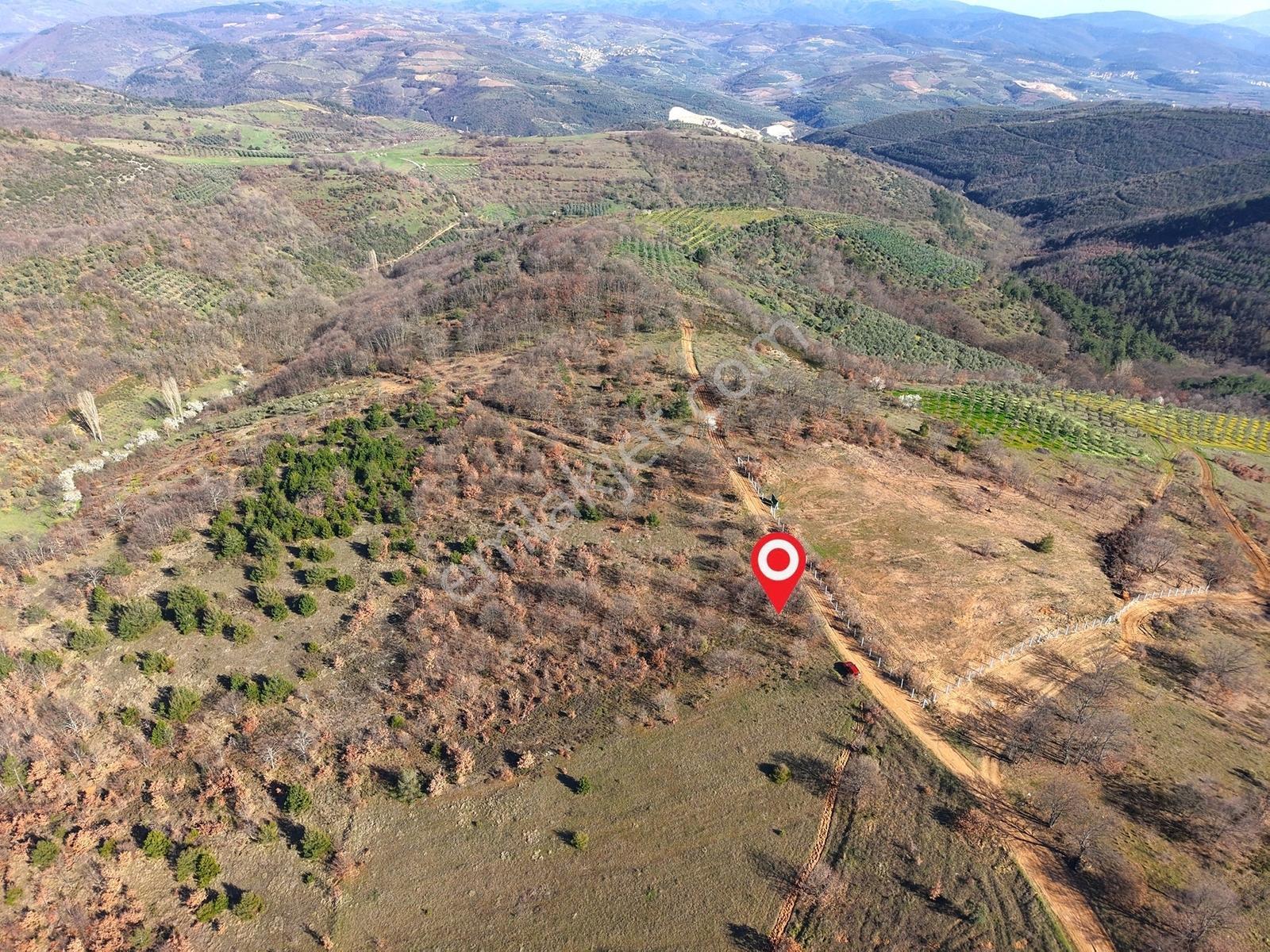İznik Sarıağıl'da Resmi Yola Cepheli, Eğimsiz 3 Dönüm Tarla - Görsel 27