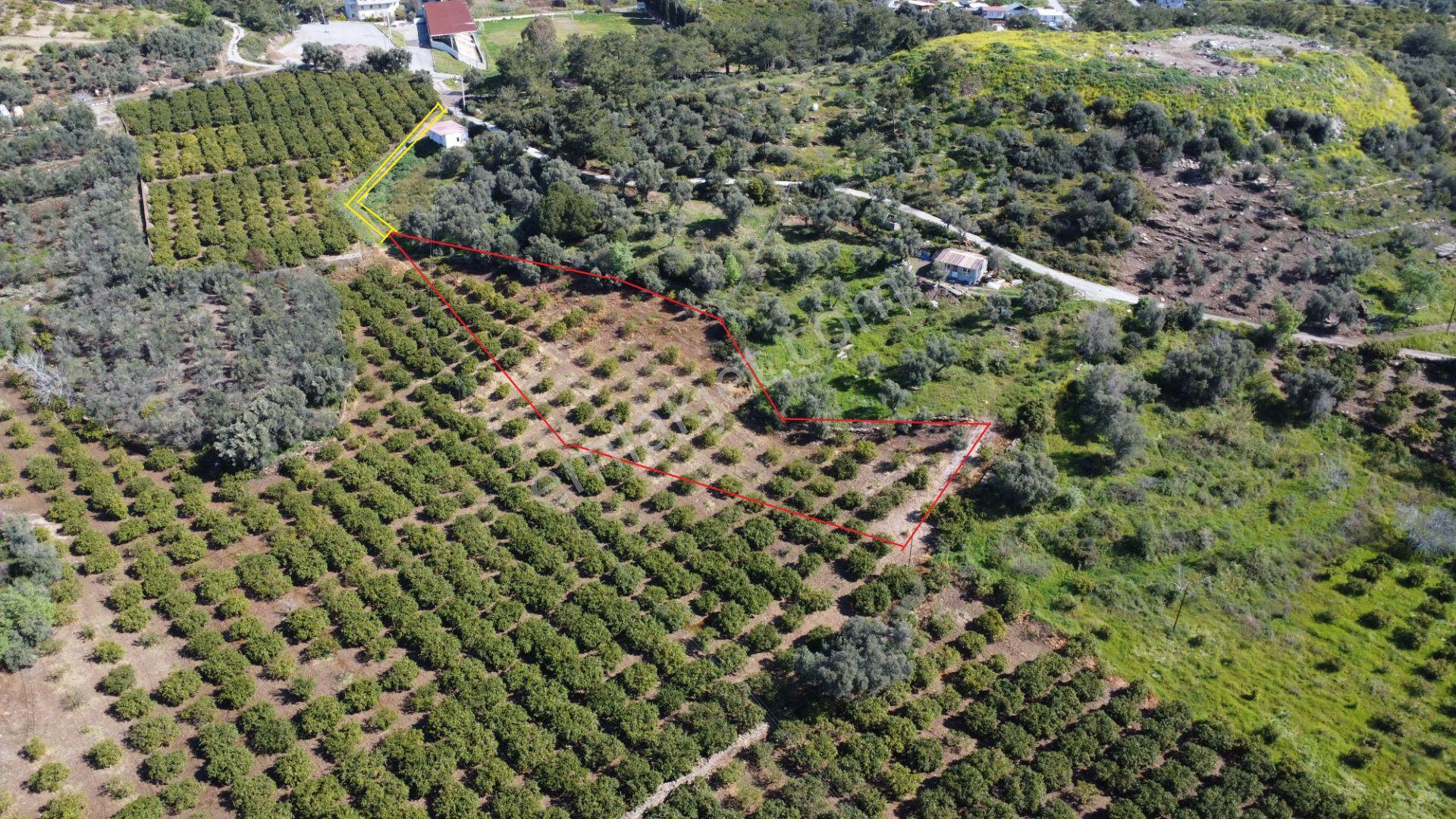 Özdere De Deniz Manzaralı Müstakil Parsel