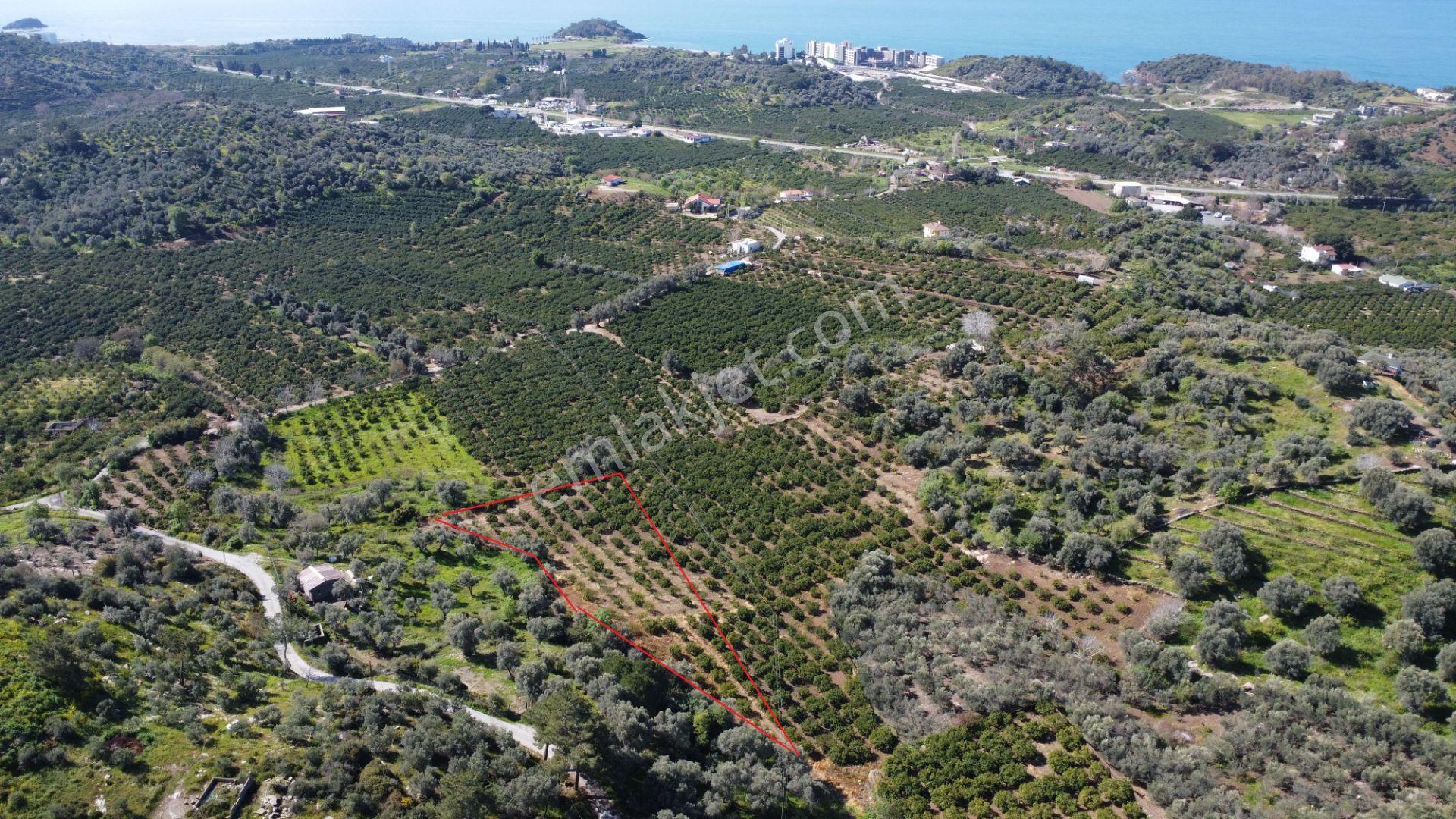 Özdere De Deniz Manzaralı Müstakil Parsel - Görsel 4
