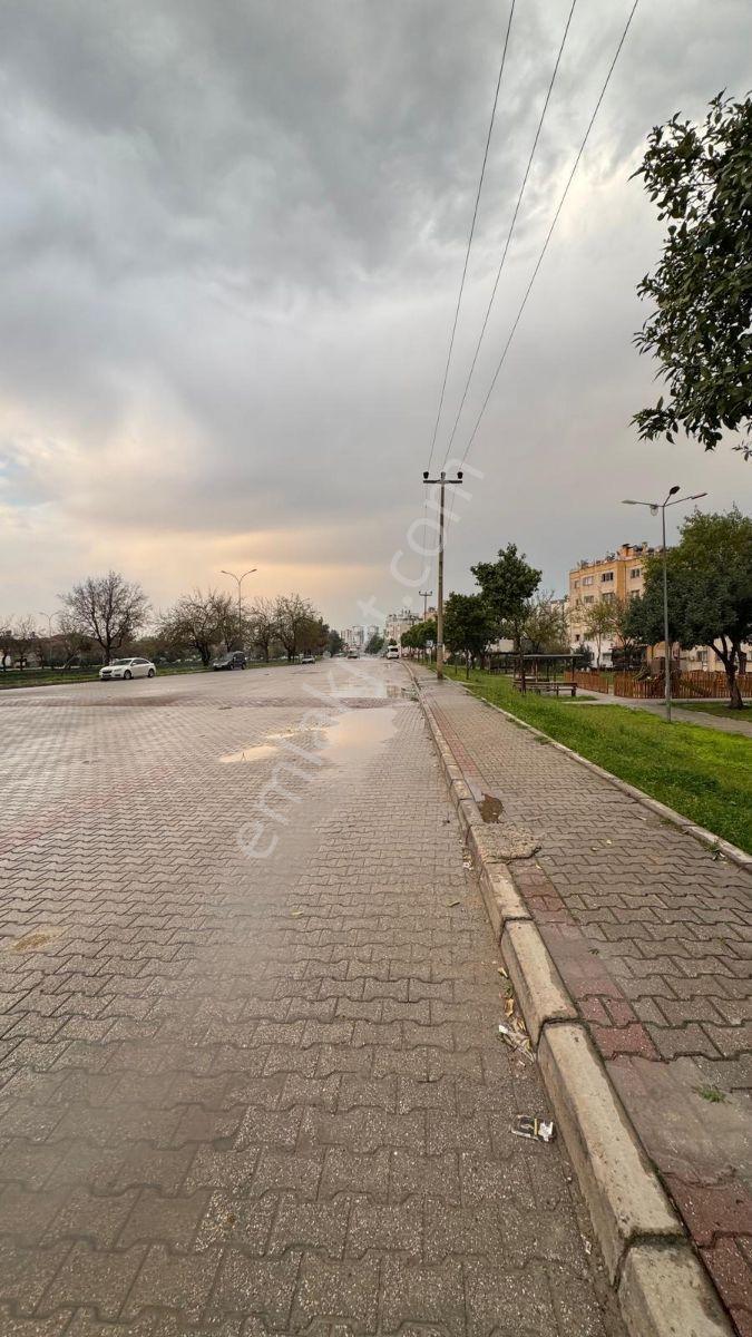 Vesile'den Cadde Üzeri Okul Yanı 2+1 - Görsel 2