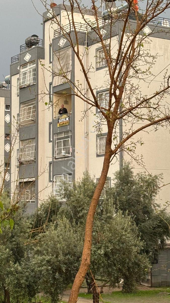 Vesile'den Cadde Üzeri Okul Yanı 2+1 - Görsel 21