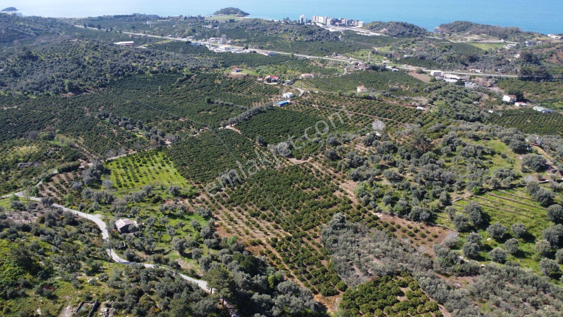 İzmir Özdere De Satılık Müstakil Parsel - Görsel 4