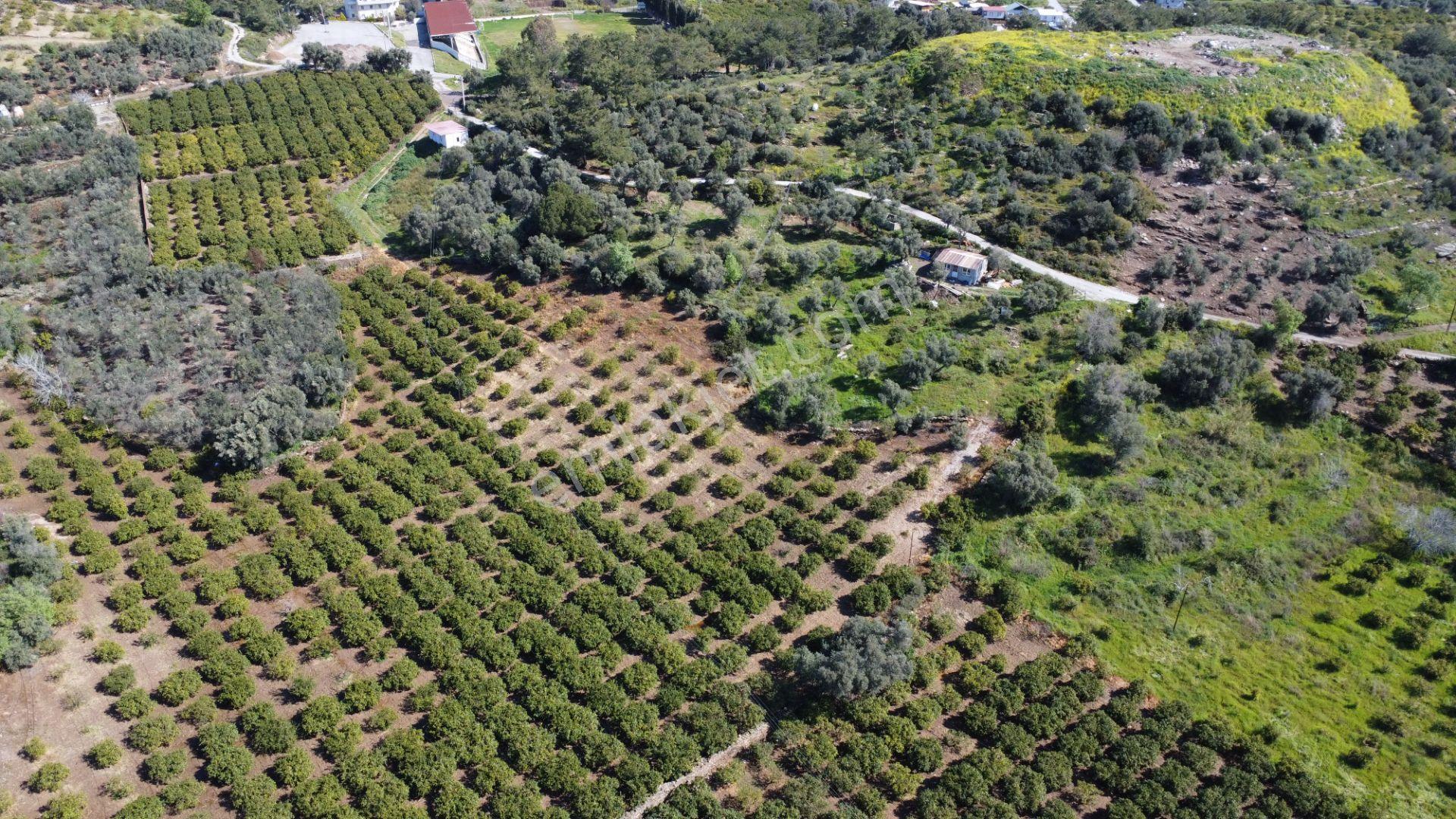 İzmir Özdere De Satılık Müstakil Parsel - Görsel 2