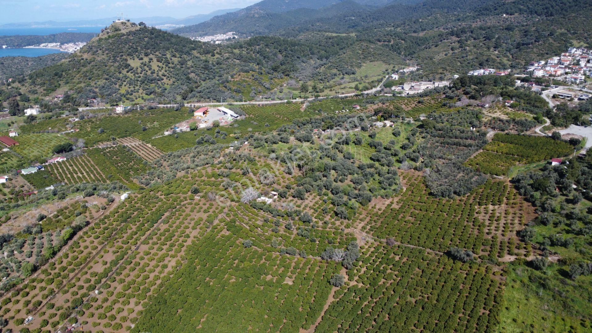 İzmir Özdere De Satılık Müstakil Parsel - Görsel 7