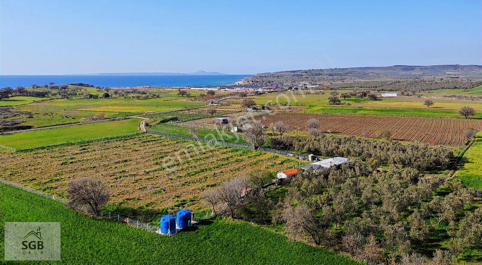 Alemşah Ovasında 11 Dönüm Meyve Bahçesi İçerisinde Çiftlik Evi - Görsel 2