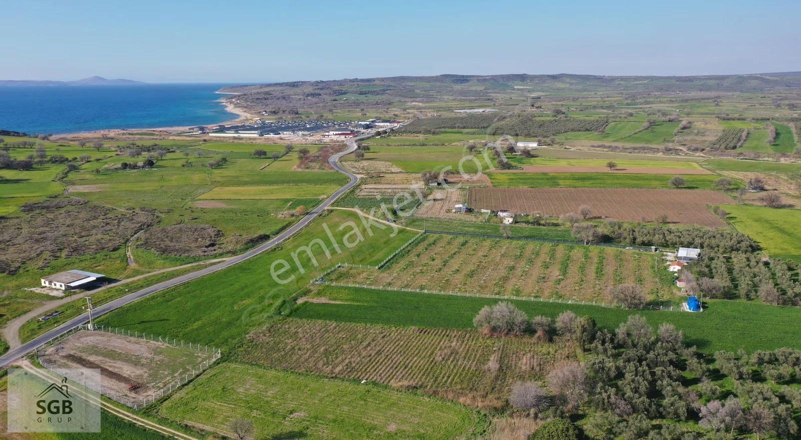 Alemşah Ovasında 11 Dönüm Meyve Bahçesi İçerisinde Çiftlik Evi - Görsel 6