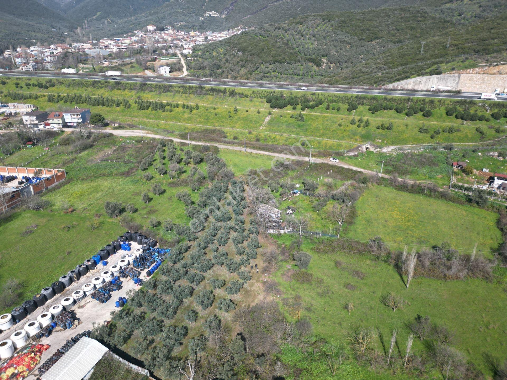 Bursa Orhangazi Gedelek Mahallesi Satılık Hobi Bahçesi - Görsel 4