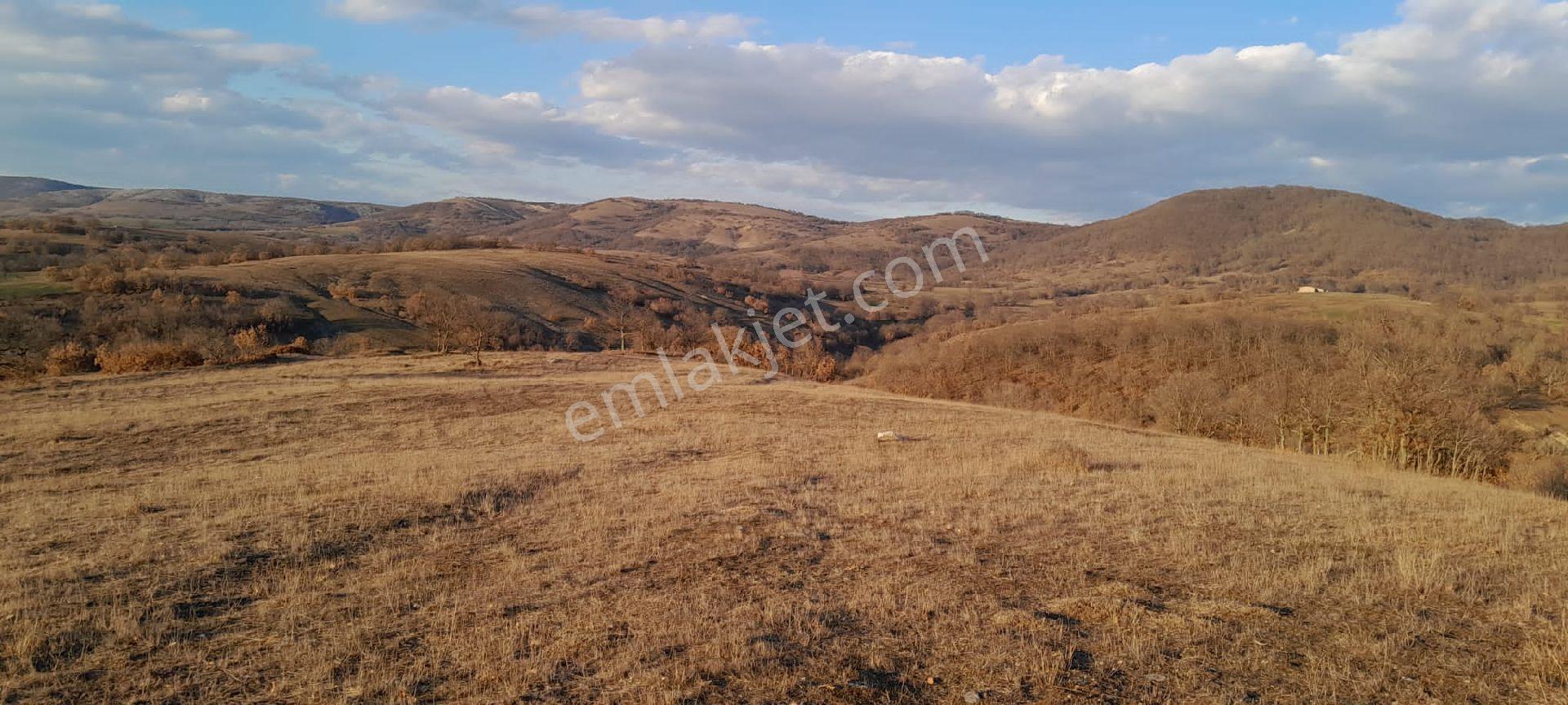 Kofcaz Elmacık Köyün'de 16.384 M2 - Görsel 9