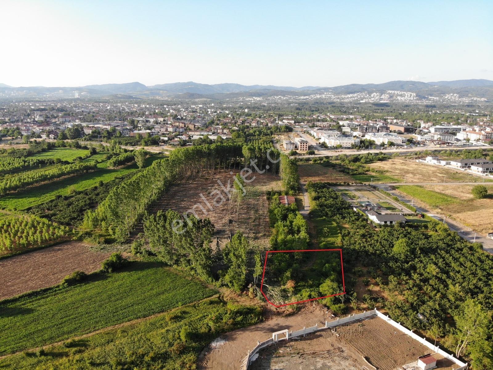 Öğretmen'den Darıc'da 1,197,45 M2 Fırsat Villa İmarlı Arsa - Görsel 3