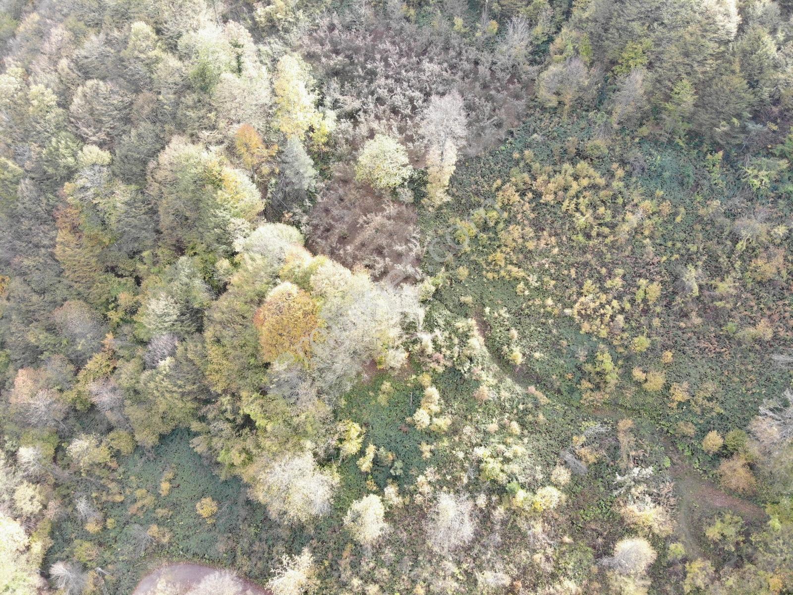 Öğretmen'den Topuk Yaylası'nın Hemen Yanında 5238m2 Arsa - Görsel 14