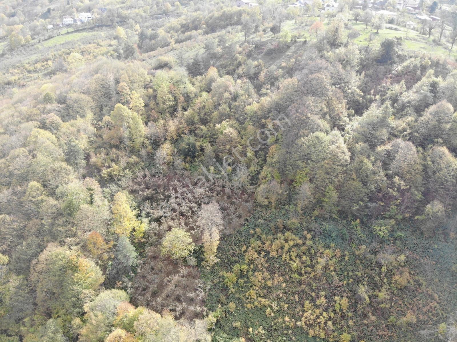 Öğretmen'den Topuk Yaylası'nın Hemen Yanında 5238m2 Arsa - Görsel 4