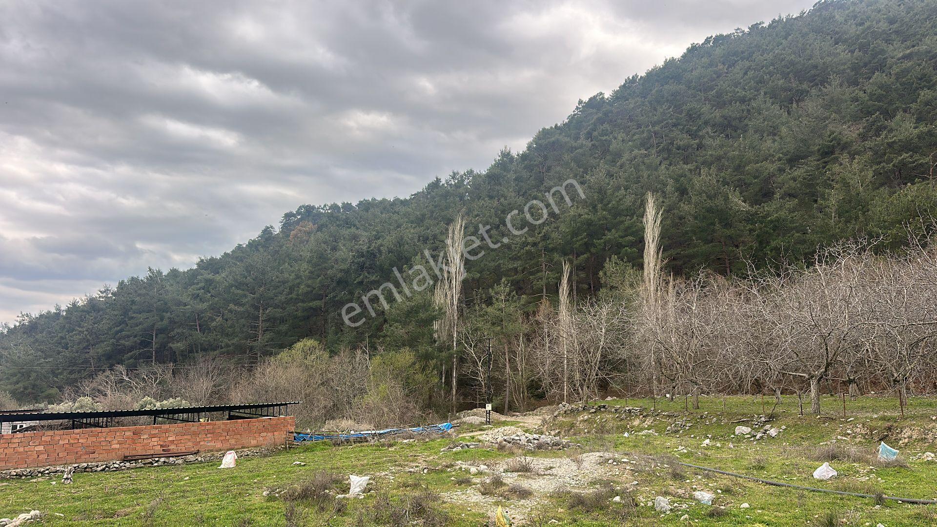 📣 Kuyucak Gencellidere’de Satılık 2.285 M2 Ceviz Bahçesi 📣 - Görsel 9