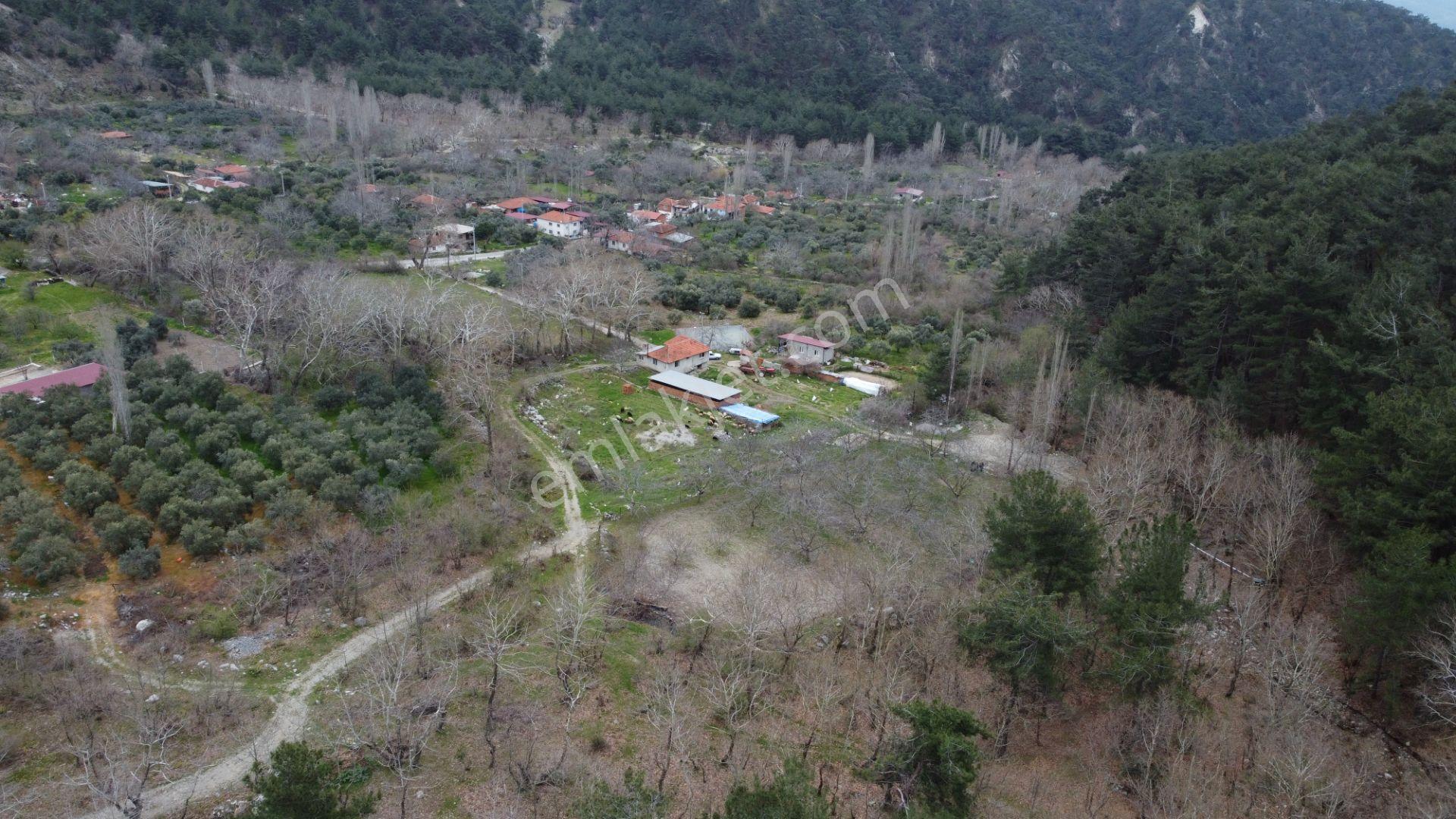 📣 Kuyucak Gencellidere’de Satılık 2.285 M2 Ceviz Bahçesi 📣 - Görsel 3