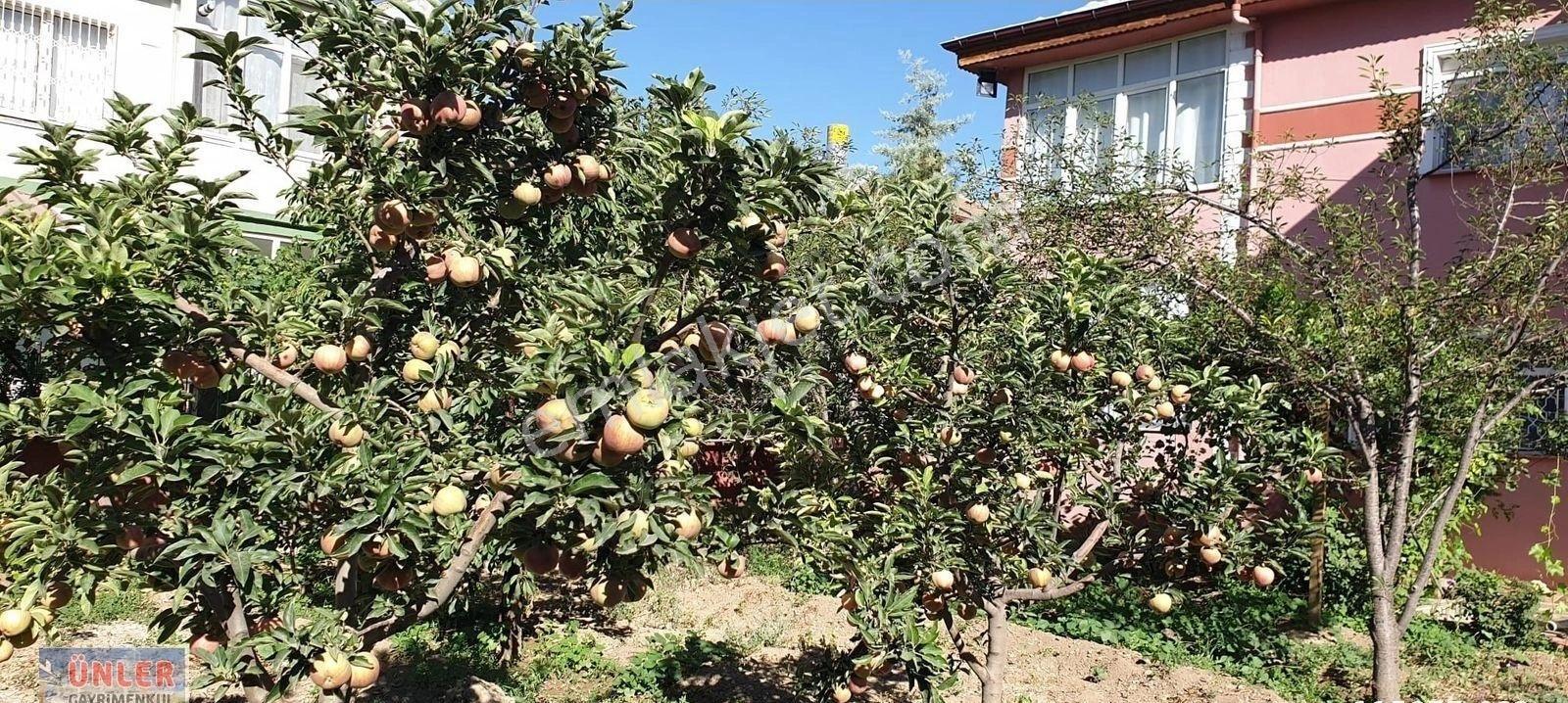 Talatpaşada Full Yapılı Eşyalı Süper Lüks Bahçeli Müstakil Ev - Görsel 17