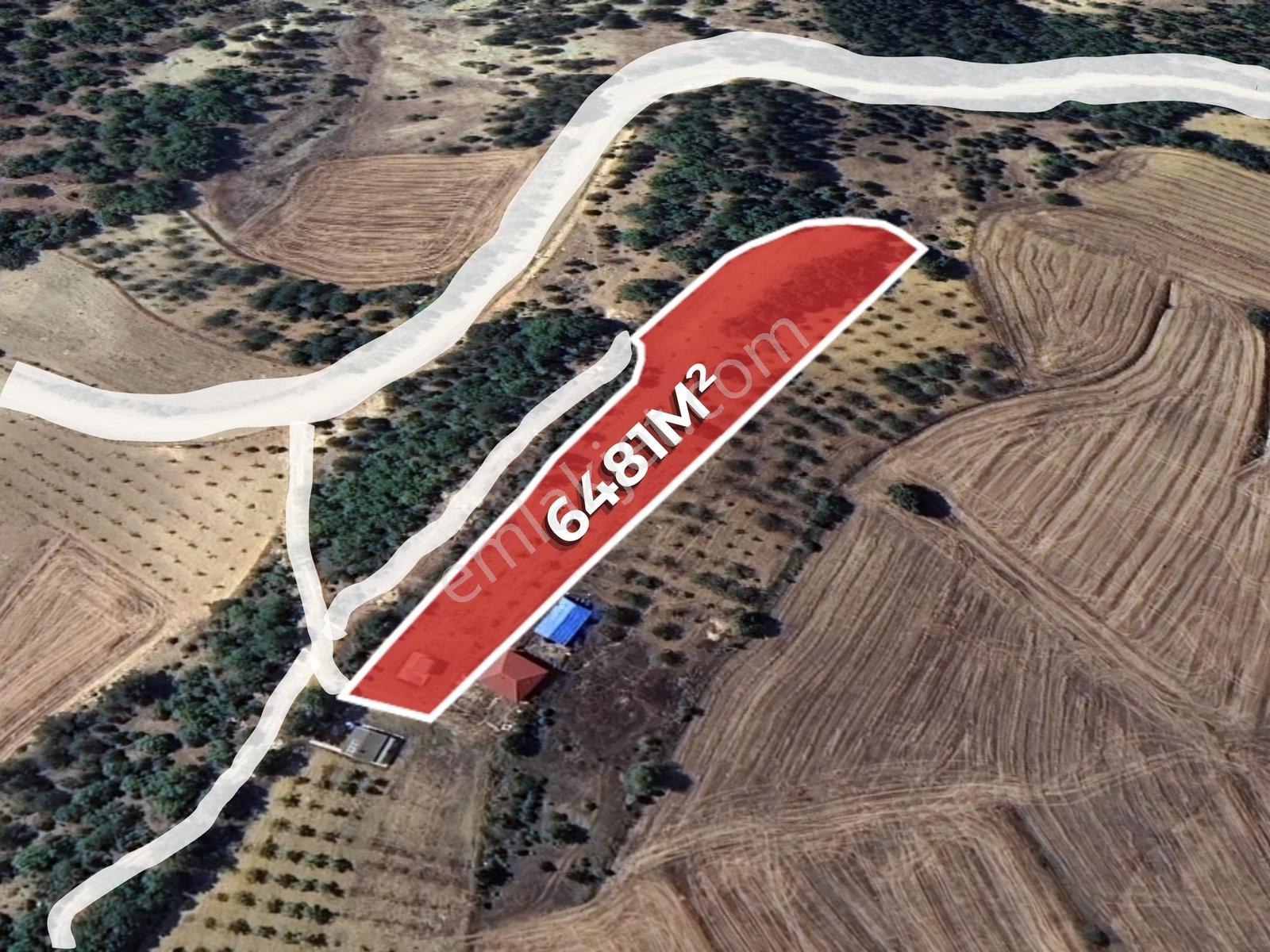 Uğur Şahin'den Bilecik Ulucak'da Satılık 6.481m² Meyve Bahçesi - Görsel 2
