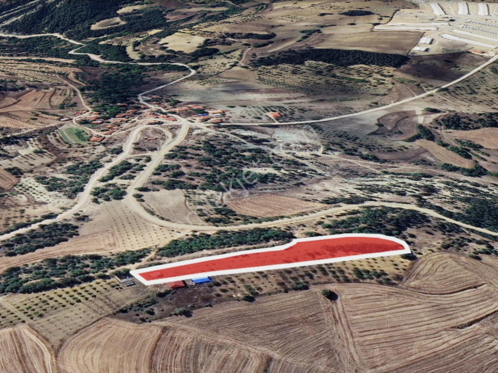 Uğur Şahin'den Bilecik Ulucak'da Satılık 6.481m² Meyve Bahçesi - Görsel 4