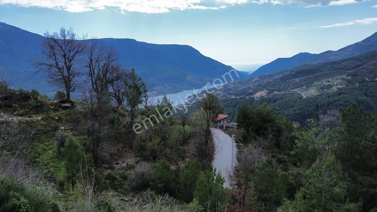 Alanya Dimçayı - Üzümlü Mahallesinde Satılık 980 M2 Bahçe