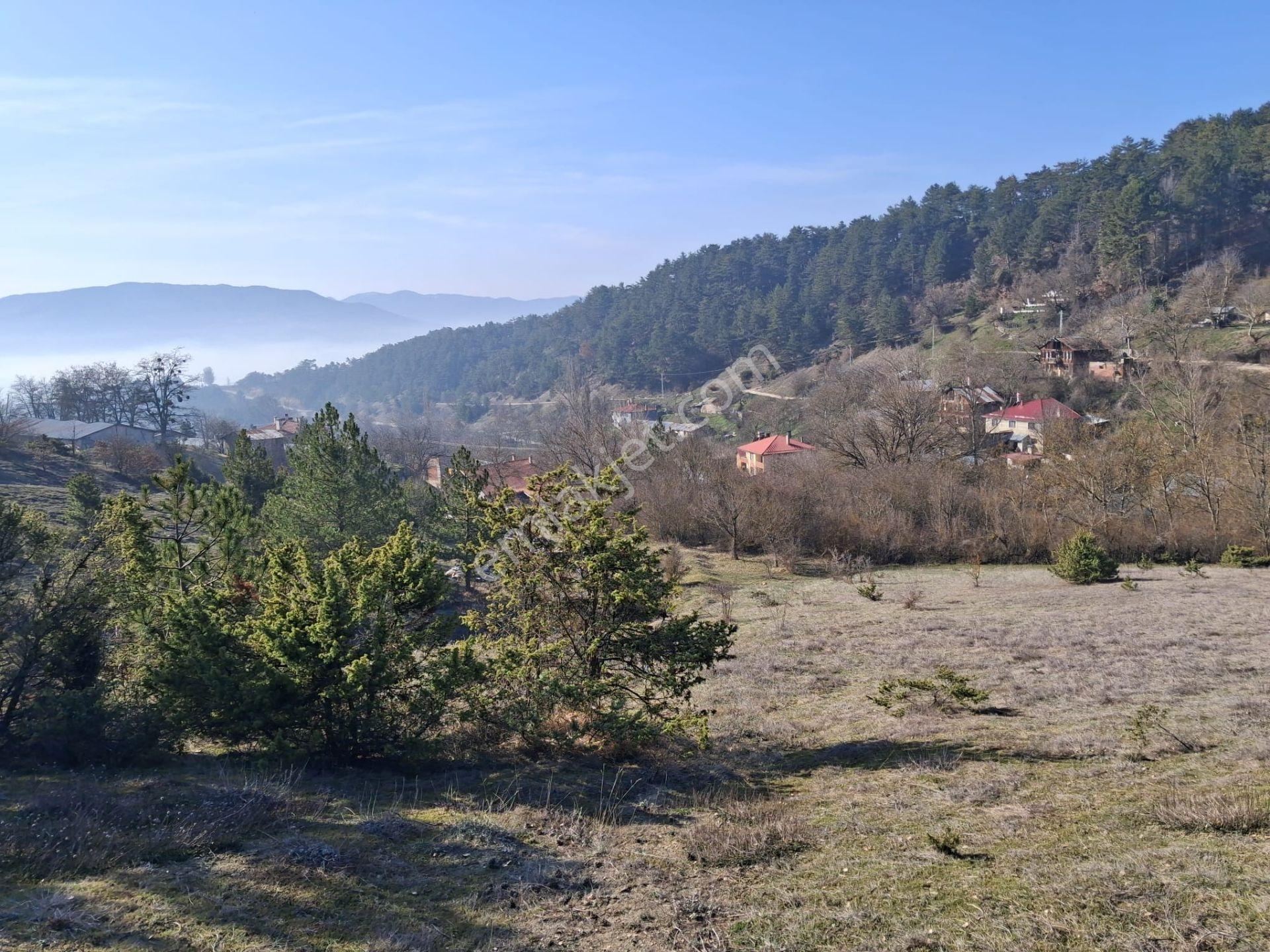 Mudurnu Delice Köyünde Köy İçi 529 M2 Tarla - Görsel 6