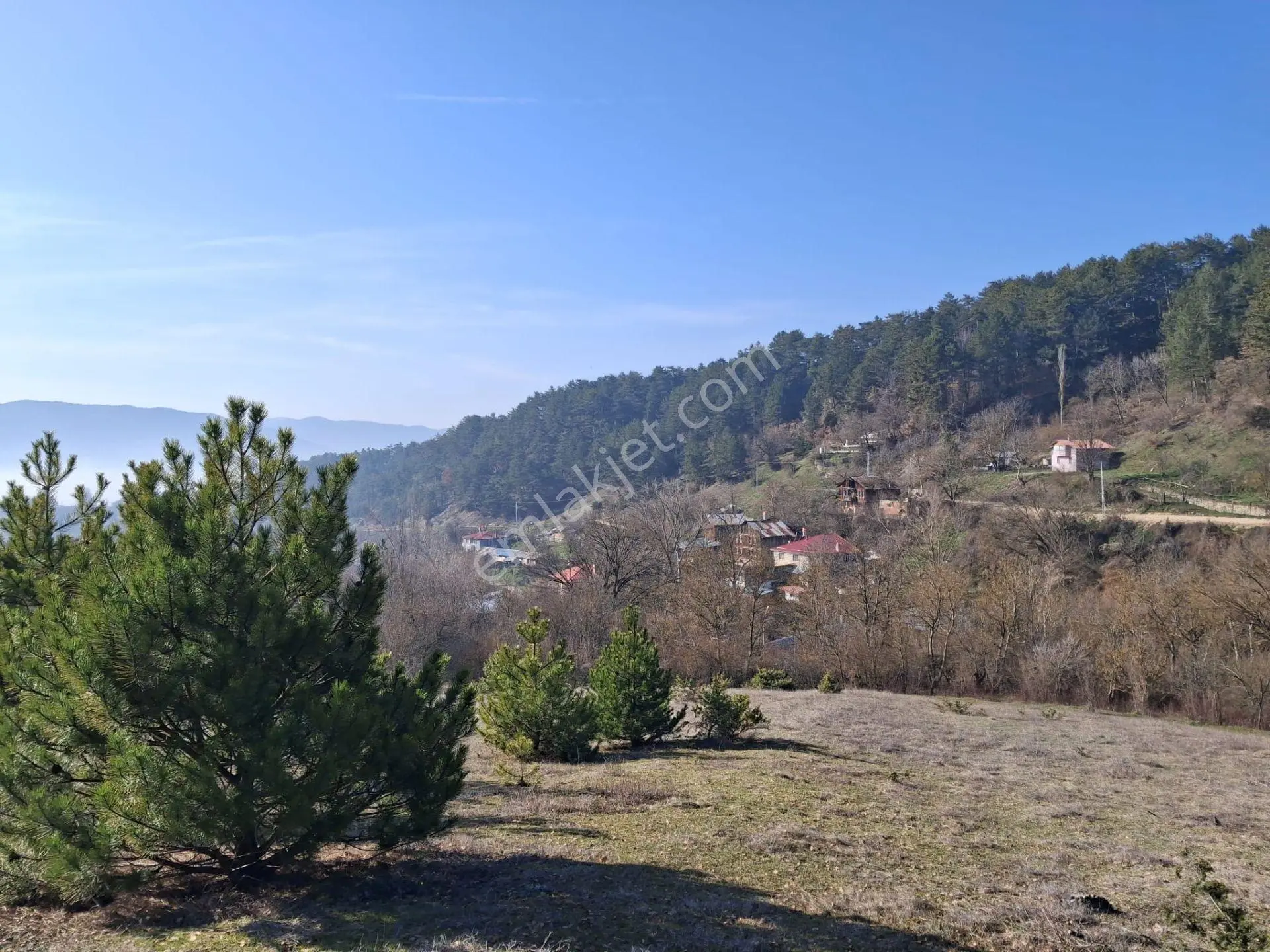 Mudurnu Delice Köyünde Köy İçi 529 M2 Tarla - Görsel 2