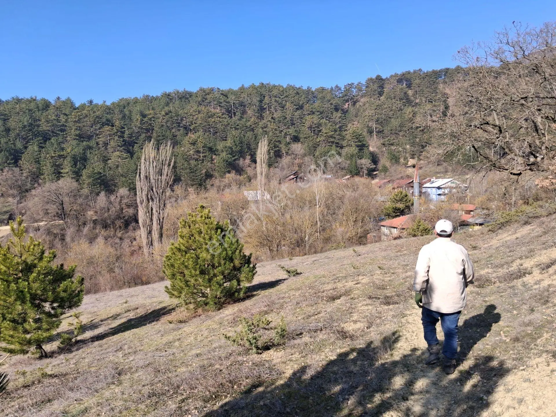 Mudurnu Delice Köyünde Köy İçi 529 M2 Tarla - Görsel 5