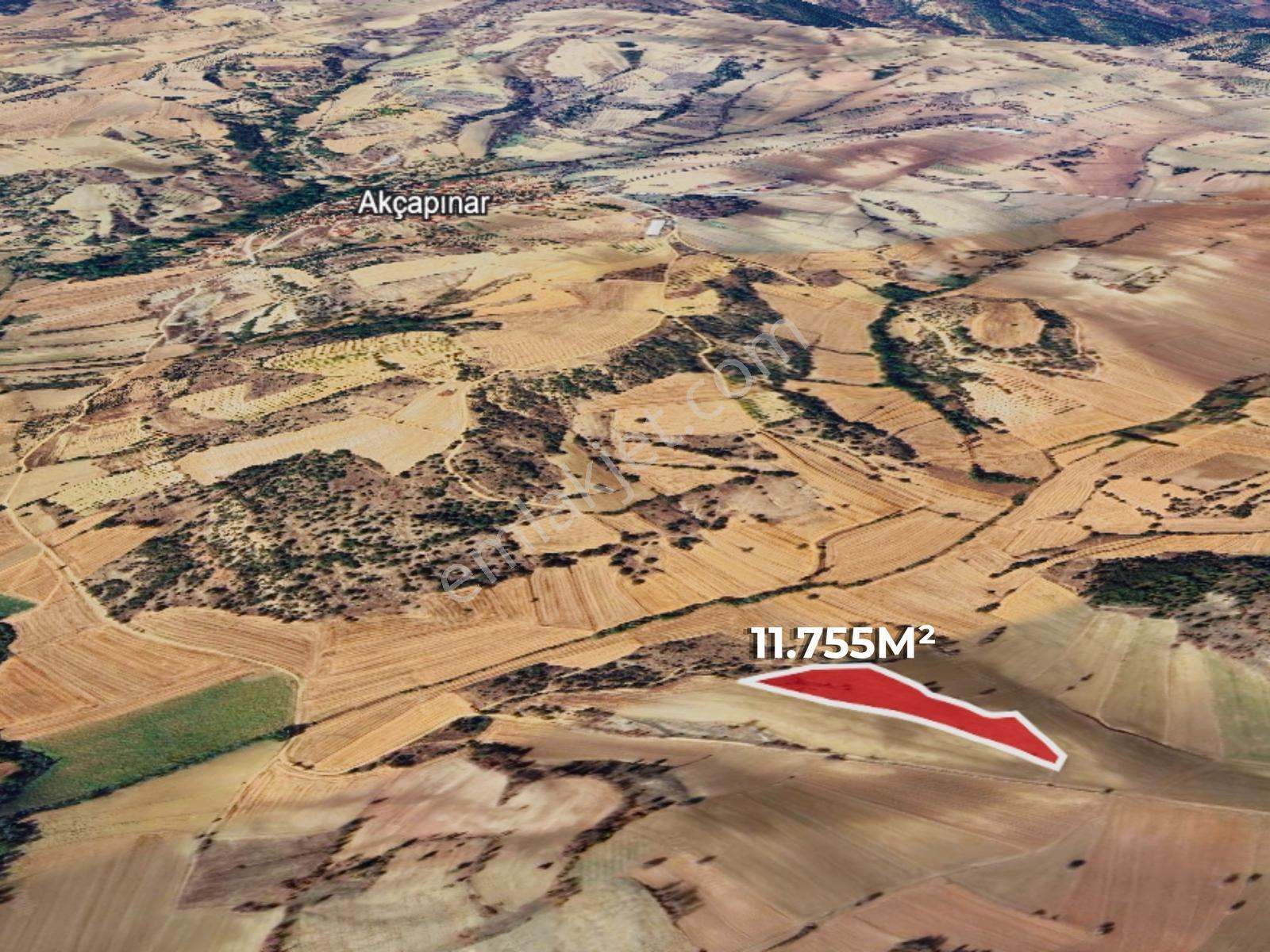 Uğur Şahin'den Taraklı'da 11.755 5 Yıllık Bakımlı Ceviz Bahçesi - Görsel 6