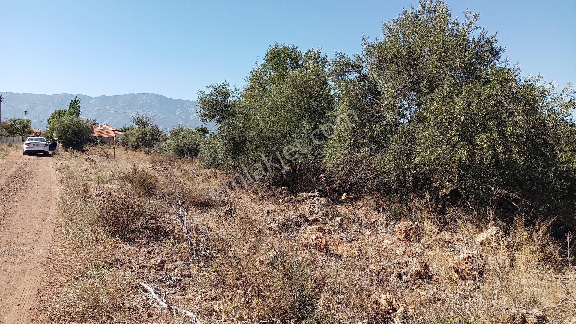 Antalya Döşemealtında Köşebaşı Satılık Villa Arsası - Görsel 5