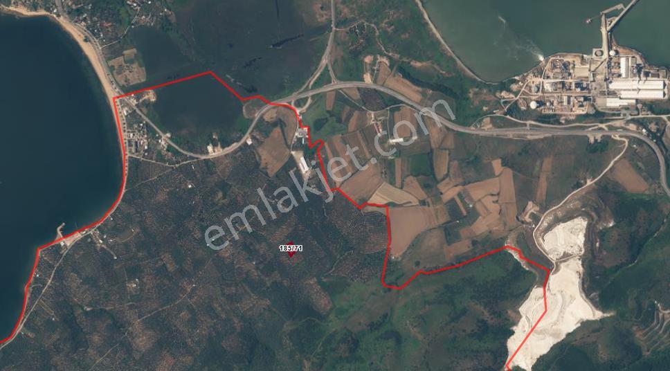 Century 21 Bal'dan Bandırma Edincik Mahallesinde Satılık Zeytinlik - Görsel 12