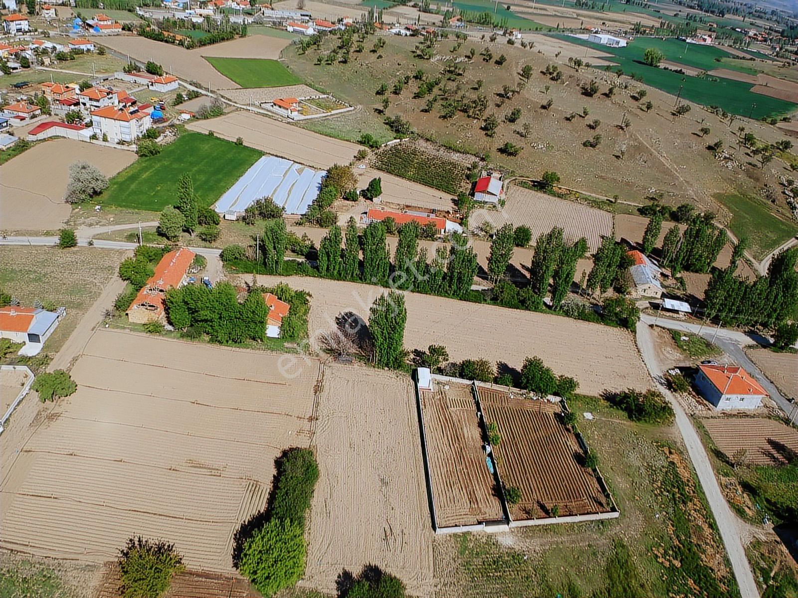 İlbey // Şuhut Merkez "zafer" Mahallesinde Satılık 1966 M² Arsa - Görsel 3