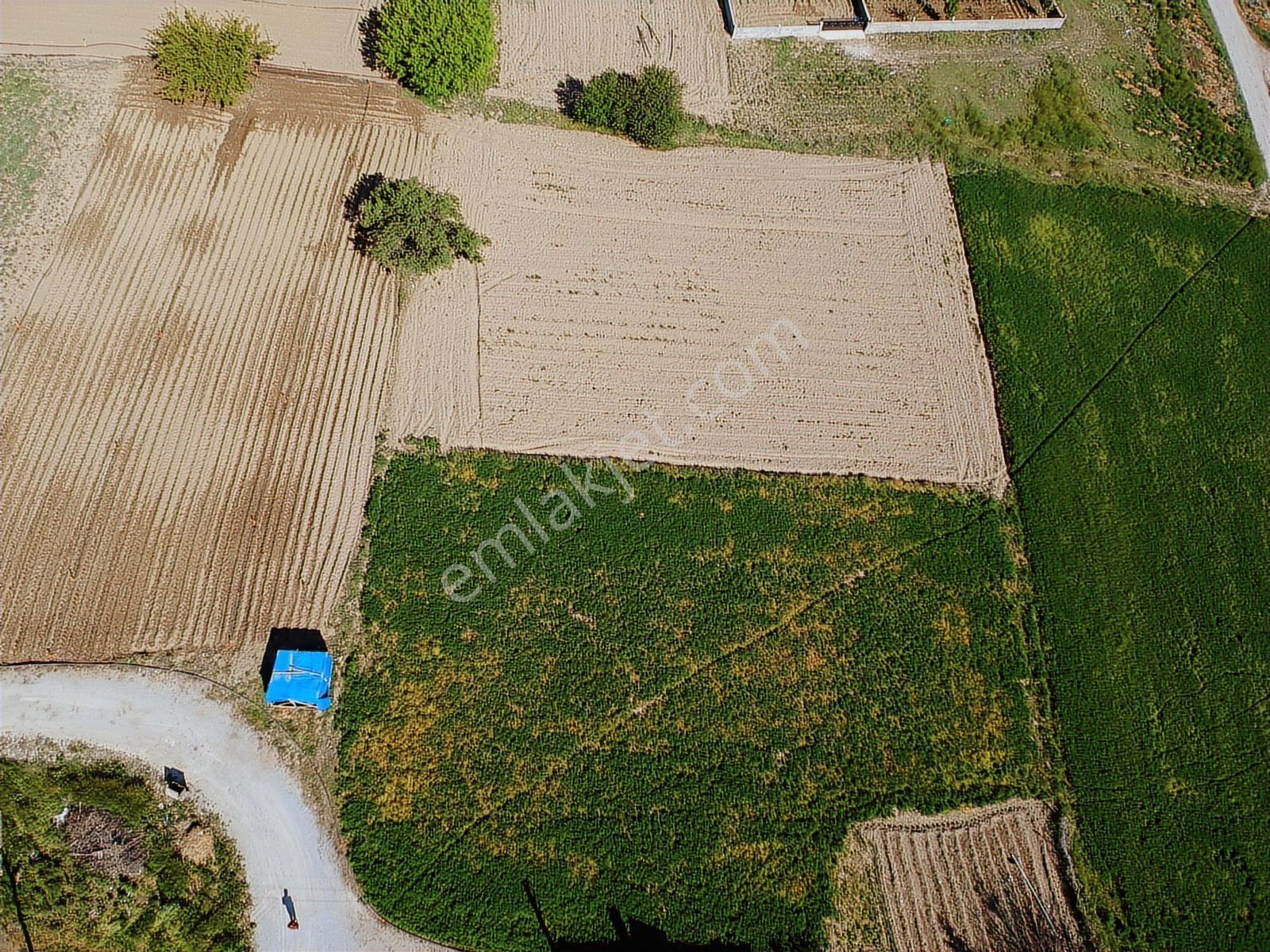 İlbey // Şuhut Merkez "zafer" Mahallesinde Satılık 1966 M² Arsa - Görsel 18
