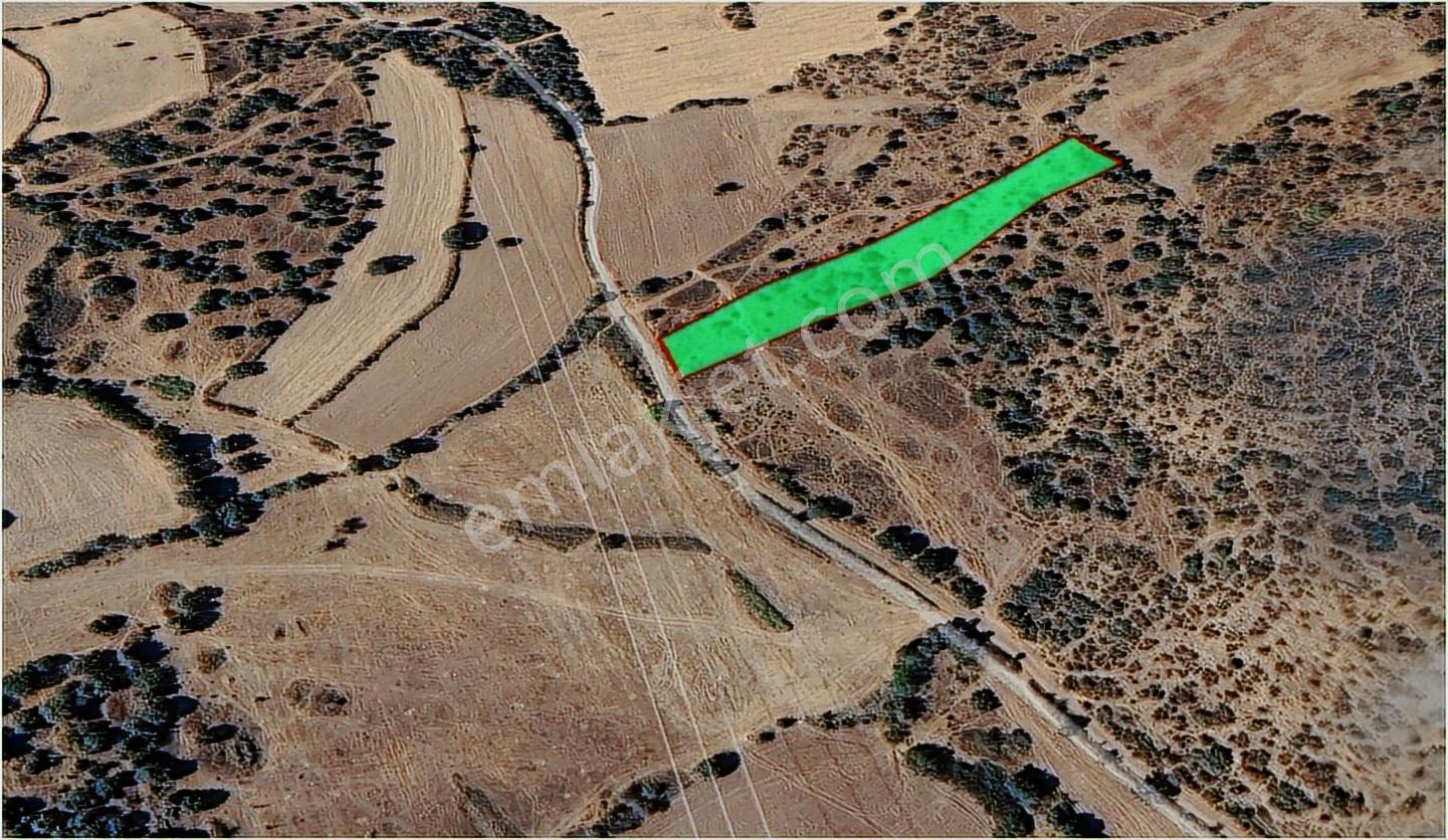Adalı Barajına Yakın, Müstakil 3.707 M² Satılık Tarla - Görsel 2