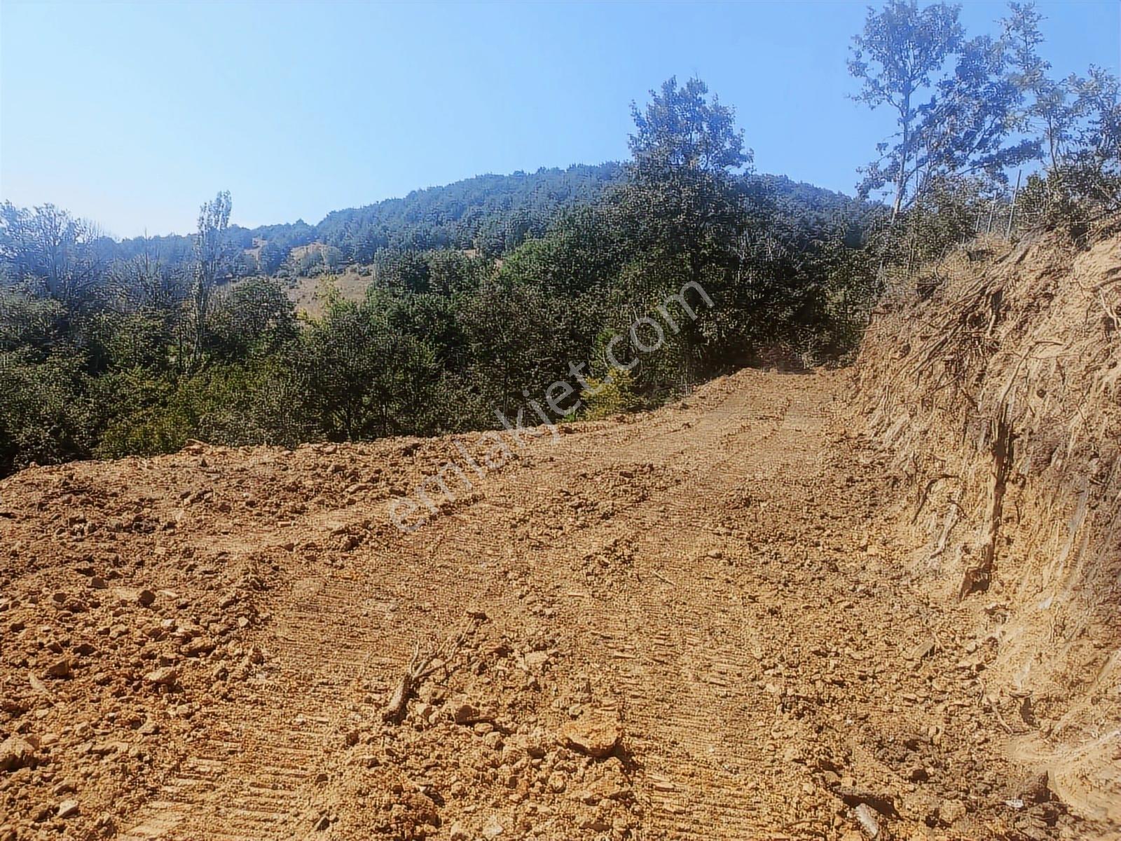 Bursa / Osmangazi Bağlımahallesin'de Bulunan Satılık Tarla - Görsel 16