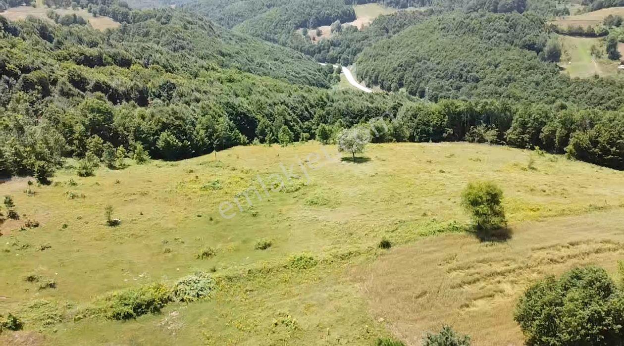 Bilecik Merkez Kavaklı Mah. 14.163 M2 Yola Ve Ormana Cephe Tarla - Görsel 2