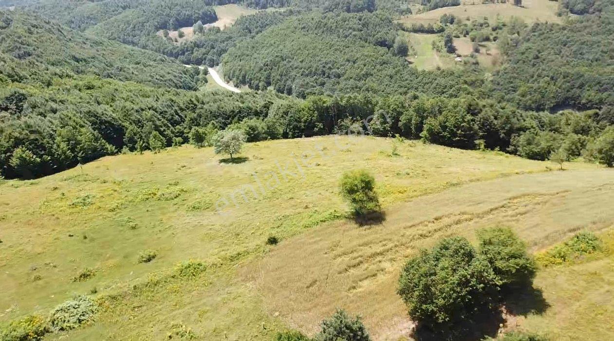 Bilecik Merkez Kavaklı Mah. 14.163 M2 Yola Ve Ormana Cephe Tarla - Görsel 8