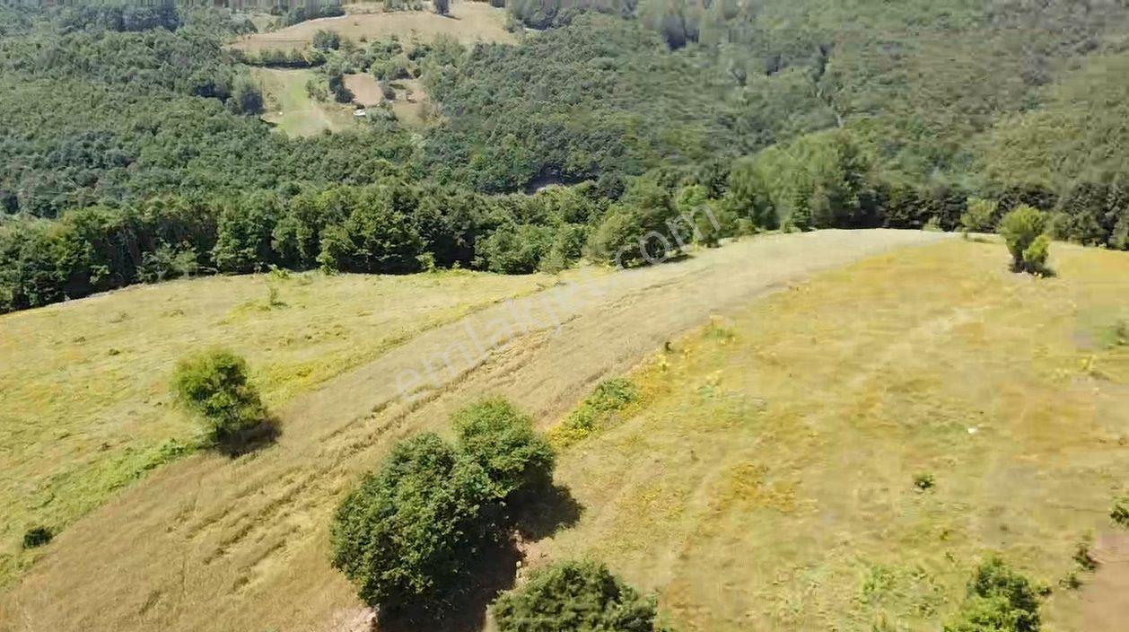 Bilecik Merkez Kavaklı Mah. 14.163 M2 Yola Ve Ormana Cephe Tarla - Görsel 11