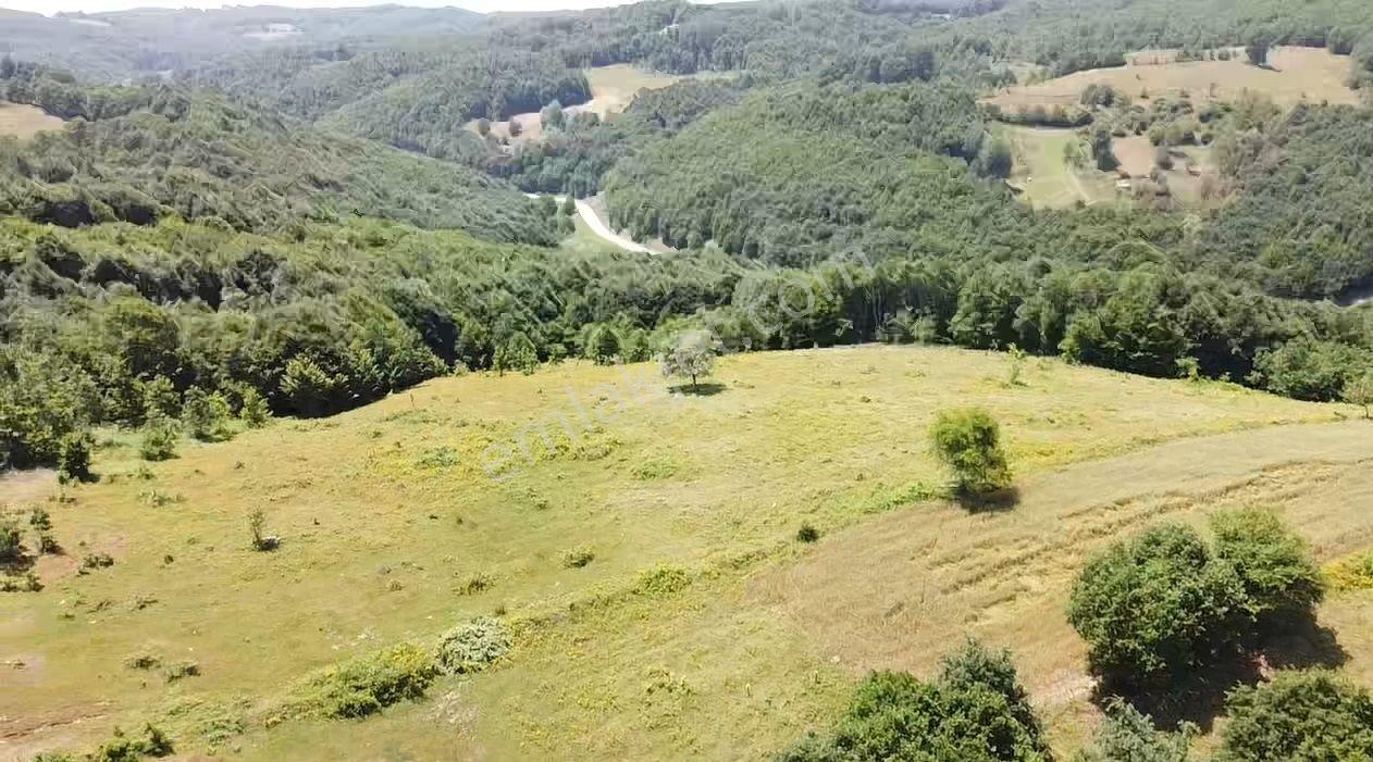 Bilecik Merkez Kavaklı Mah. 14.163 M2 Yola Ve Ormana Cephe Tarla - Görsel 32