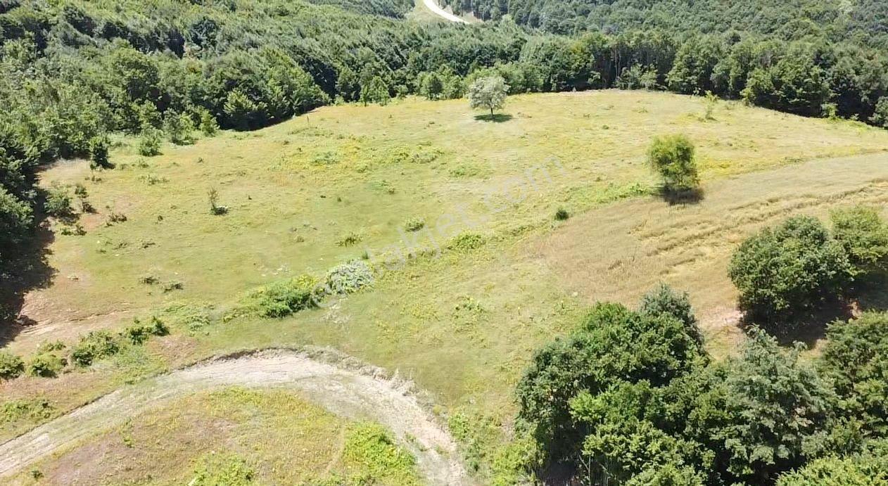 Bilecik Merkez Kavaklı Mah. 14.163 M2 Yola Ve Ormana Cephe Tarla - Görsel 30