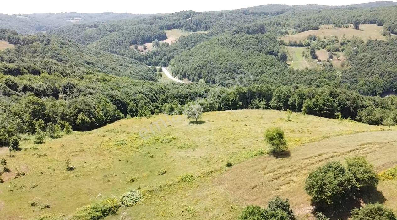 Bilecik Merkez Kavaklı Mah. 14.163 M2 Yola Ve Ormana Cephe Tarla - Görsel 24
