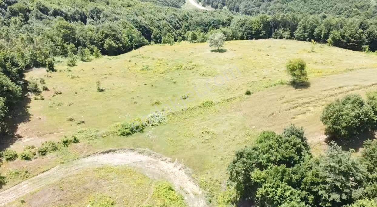 Bilecik Merkez Kavaklı Mah. 14.163 M2 Yola Ve Ormana Cephe Tarla - Görsel 27