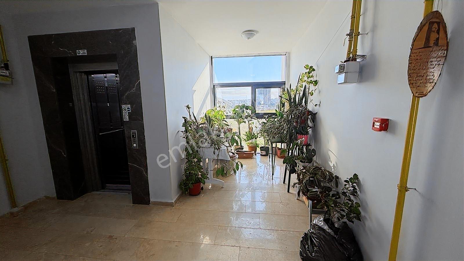 Turyaptan Yüzme Havuzu Karşısı Toki Konutları 2+1 Kiralık Daire - Görsel 22