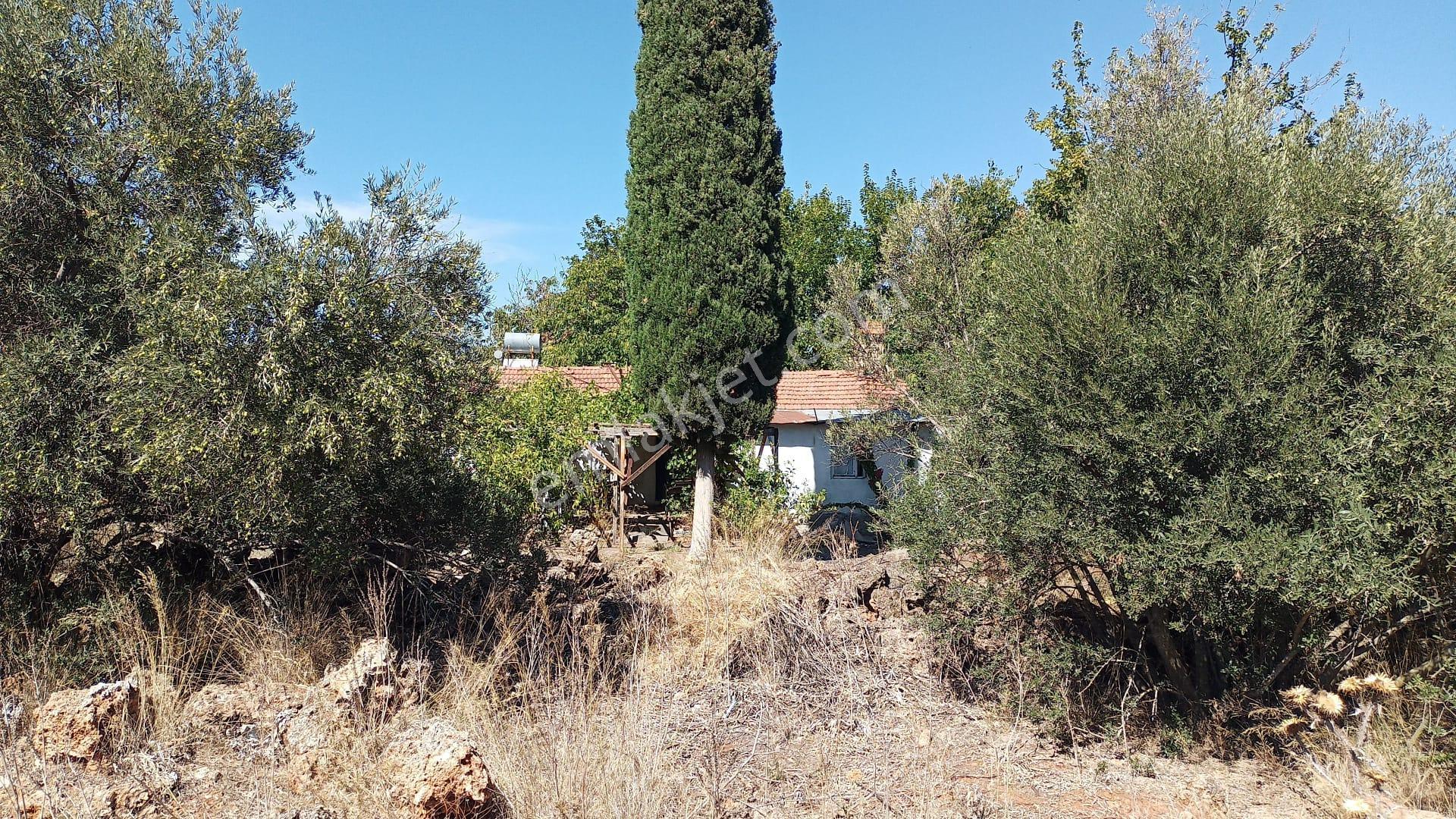 Antalya Döşemealtı, Çıplaklı Mah.de Satılık Köşebaşı Parsel - Görsel 5