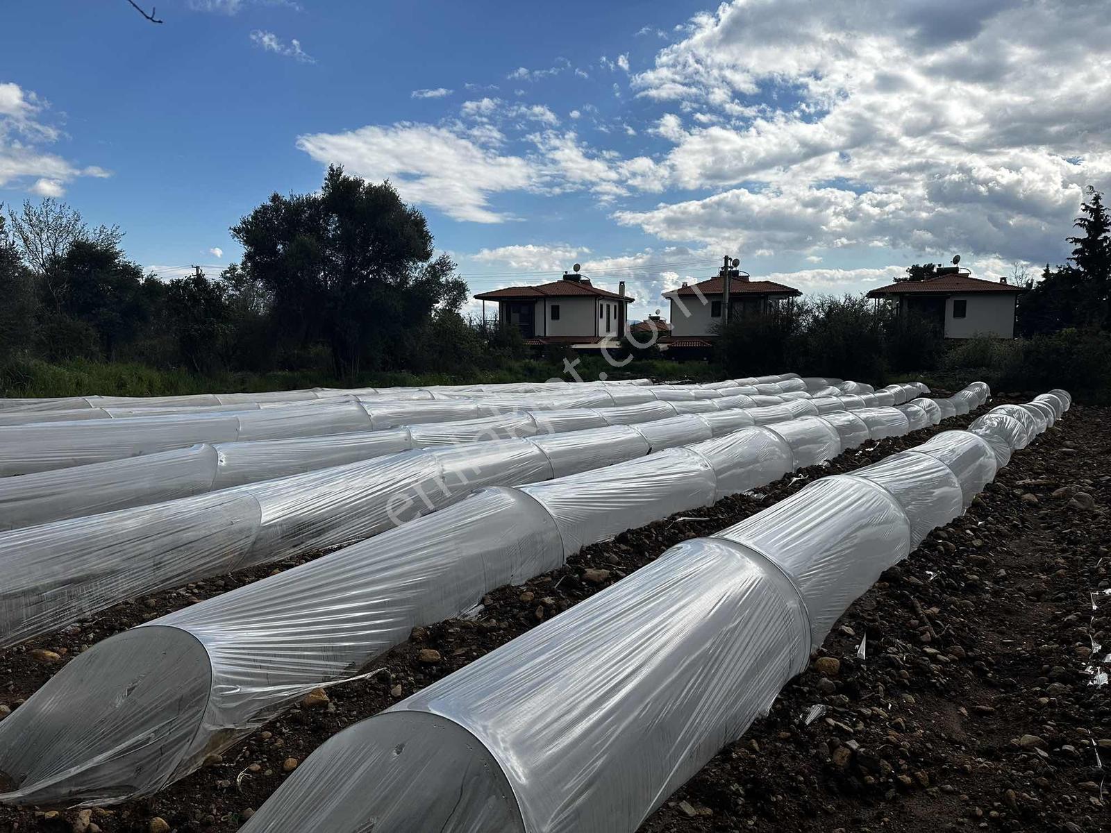 Muğla Köyceğiz Yeşilköy'de Satılık Tarla İçinde Kargir Ev - Görsel 3